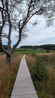 Fotografia z Christine Arnold na trase
