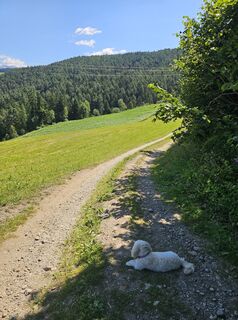 Foto von Dietmar Huber 1 entlang der Tour
