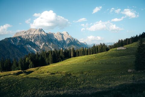 Aussicht auf die Leoganger Steinberge von den Grießner Almen aus