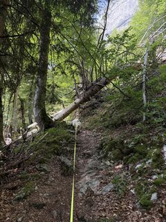 Photo de Nina Wolf le long du parcours