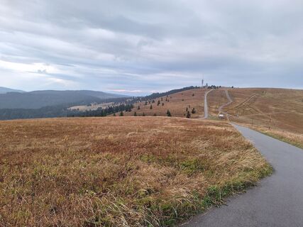 Foto von Katharina entlang der Tour