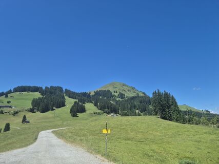 Fotografia z Yannic Abel na trase