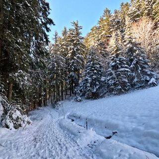 Sonnbergrunde - Winterwandern
