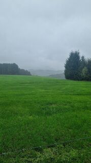 Photo de Volker Wagener le long du parcours