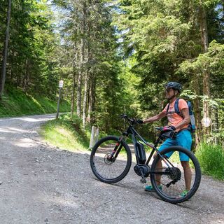 Mountainbikerin auf den Weg zum Brucker Hochanger