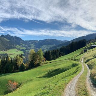 Neader Blick Richtung Alpbach und dem Gratlspitz