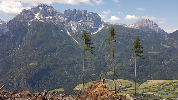 10.5 km Sandspitze und Lienzer Dolomiten