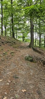 Fotó a Andreas Henning honlapról a túra során