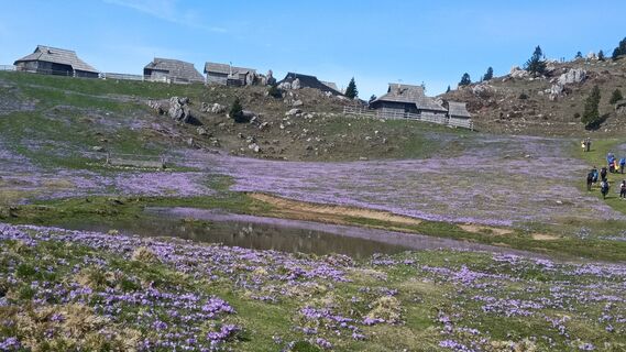 Foto von Davor Puklin entlang der Tour