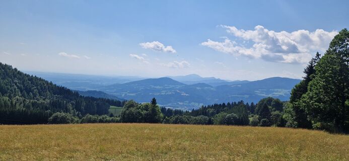 Fotografie z Utassy Tóth Johanna na trase