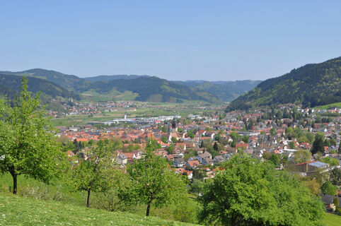 Aussicht auf Haslach