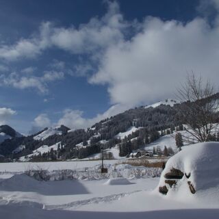 Gypsera-Winterwanderung Seerundgang Schwarzsee