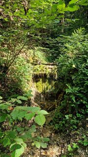 Foto von Claudia Maurer entlang der Tour