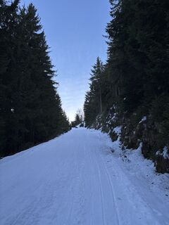 Sankt Koloman_Trattberg