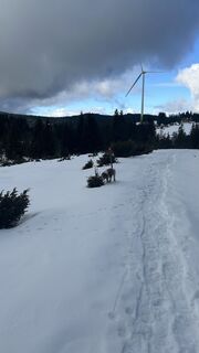 Foto von Rüdiger Baumberger entlang der Tour