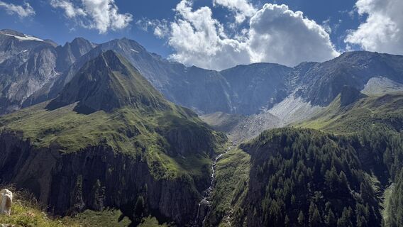 Foto von Kerry entlang der Tour