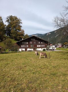 Fotografie z Malofe na trase