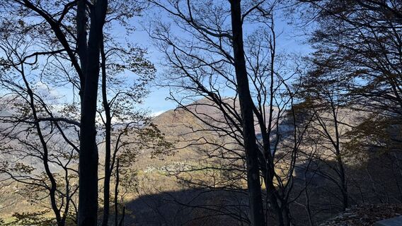 Fotografia z peter_oe na trase