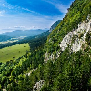 Zemljevid