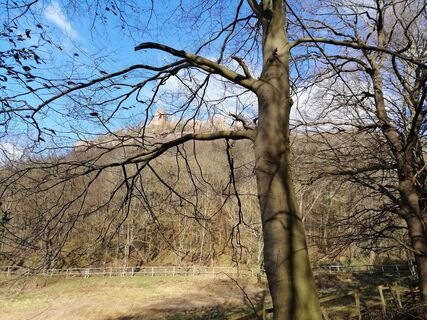Foto von Eifeleddy entlang der Tour