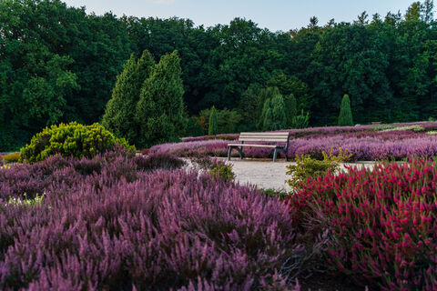 Heidegarten
