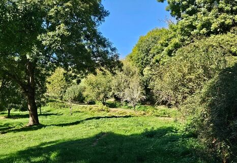 Der Pfad führt durch versteckte und idyllische Lichtungen