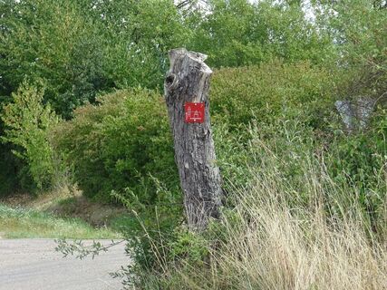 Am Naturschutzgebiet