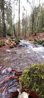 Fotografia z Jan 2505 na trase