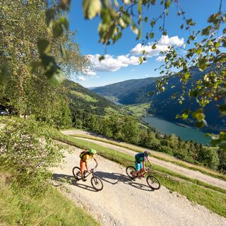 Bike-Feld-am-See
