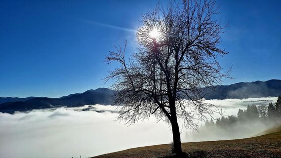 Foto von Susi Puhl entlang der Tour