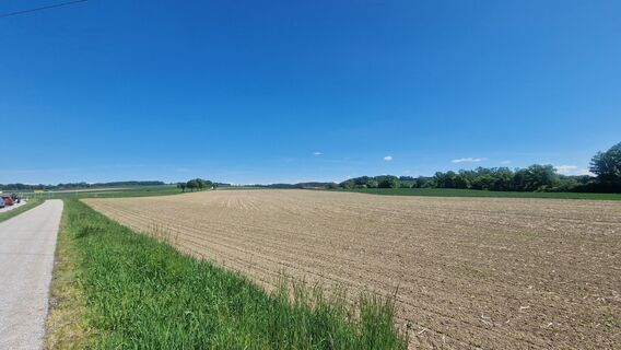 Фото с сайта Ritsch во время экскурсии
