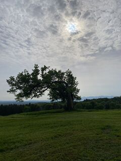 Fotografie z Sven Krieblin na trase