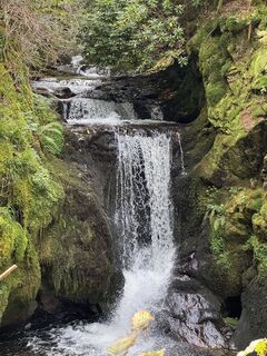 Fotografija s spletne strani Adnan Cemal na poti