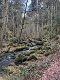 Foto von Rafael J entlang der Tour