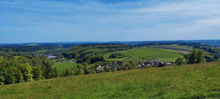 Dürre Fichte, Steger, Ferienpark Thüringer Wald