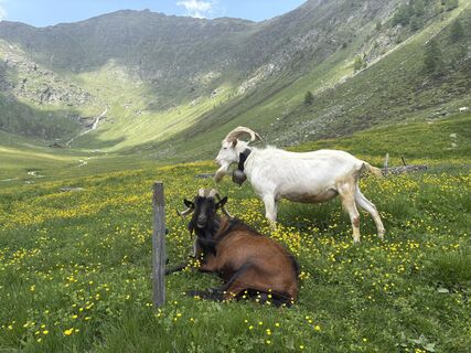 Fotografija s spletne strani Olaf Siebeck na poti