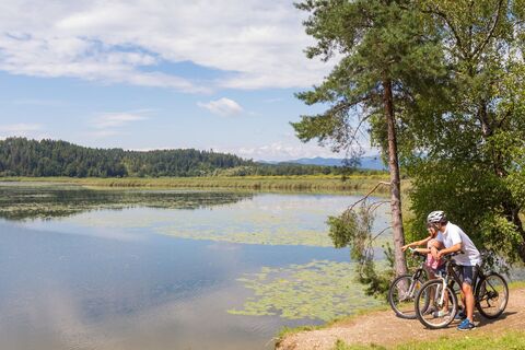 Kurze Pause am Gösselsdorfer See