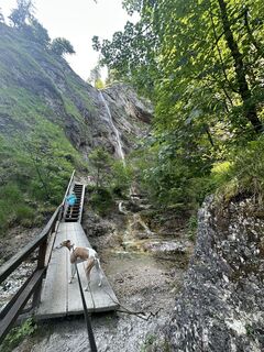 Photo de Babs Holz le long du parcours