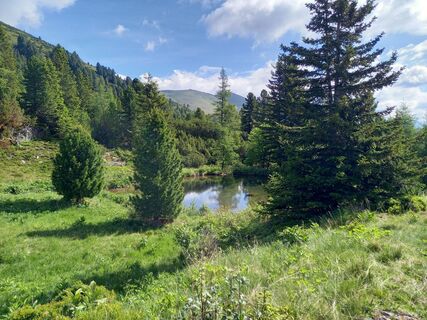 Photo de SupaBee le long du parcours