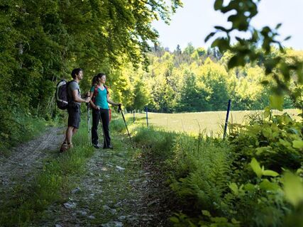 Wandern in der Buckligen Welt