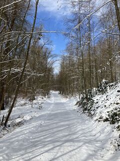 Photo de Daniel Vogel le long du parcours