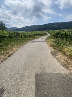 Fotografie z petermarx6 na trase