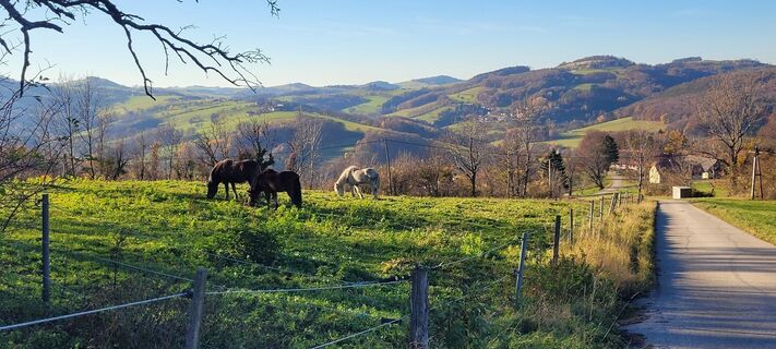 Fotografia z Werner Spitzer 1 na trase