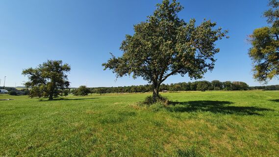 Pure Idylle - Bitburger LandGang in Idesheim