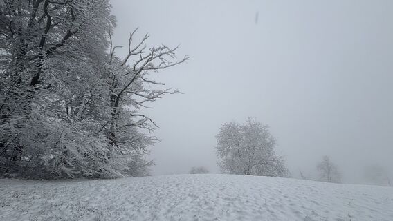 Foto von Carlo entlang der Tour