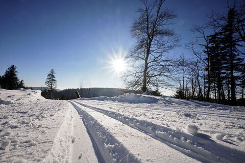 Loipe auf dem Ettelsberg im Sonnenschein