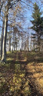 Foto von Hari Schrittwieser entlang der Tour