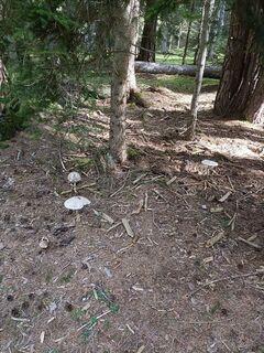 Photo de Tomy 66 le long du parcours
