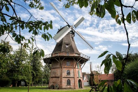 "De ole Griese von Schipdorp"