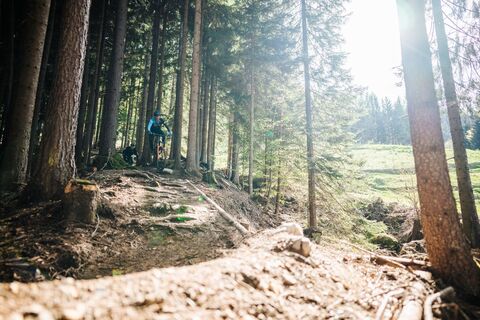 Blackgartner Trail